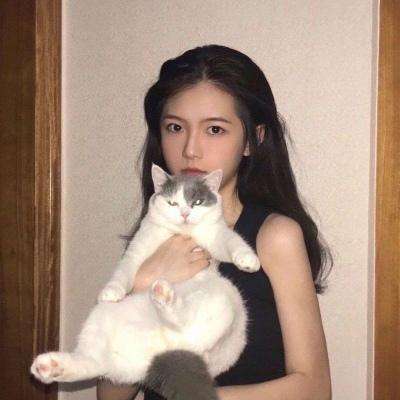 sintales游戏